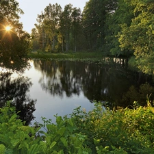 rays, sun, forest, Bush, River