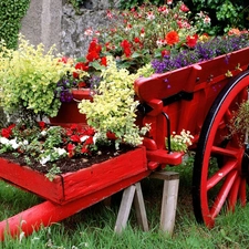 Red, circle, wagon, Flowers, flowerbed