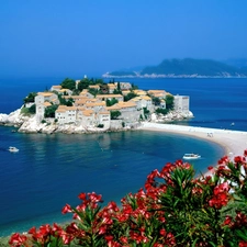 Red, Flowers, St. Stefan, Montenegro, Island