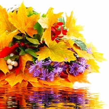 Autumn, water, reflection, Leaf