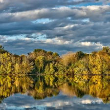 reflection, lake, forest