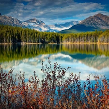 lake, Mountains, reflection, woods