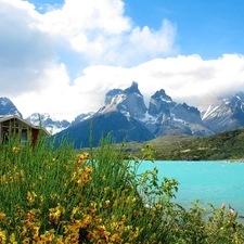 River, Mountains, Flowers, Home, Wildflowers