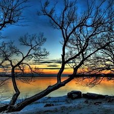 River, west, snow, Stones, Bare Trees, sun