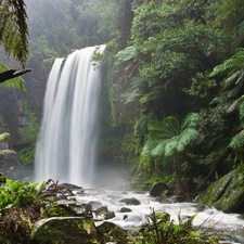 River, Stones, trees, viewes, waterfall