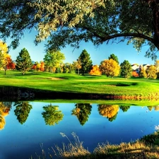 Willow, viewes, River, trees