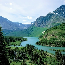 trees, viewes, woods, River, Mountains