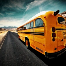 road, Yellow, bus