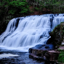 rocks, waterfall, forest