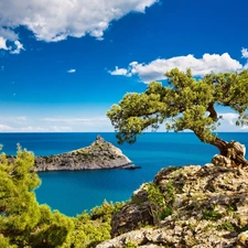 rocks, trees, Gulf