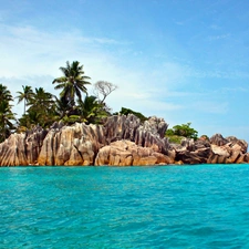 rocks, Palms, Waves, Island, sea