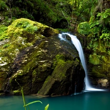 waterfall, rocks