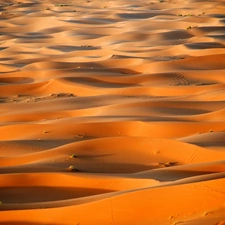 Sachar, Sand, Desert