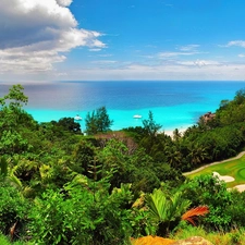 Seychelles, Ocean, Island