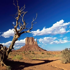 arid, canyon, Sky, trees