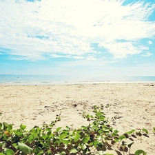 Sky, sea, Beaches