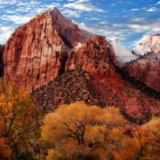 canyon, viewes, Sky, trees