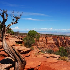 canyons, viewes, Sky, trees