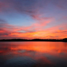 Sky, lake, forest