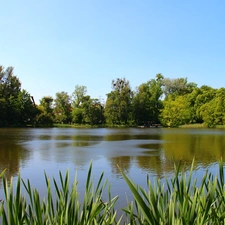 lake, viewes, Sky, trees