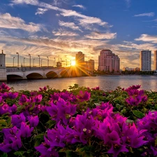 Flowers, skyscrapers, town, rays, panorama, bridge, River, sun