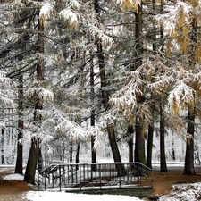 Park, first, snow, bridges