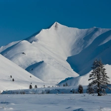 Sky, trees, snow, Mountains