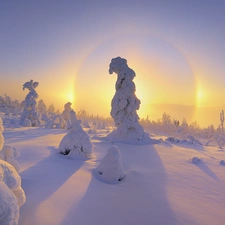 snow, sun, viewes, Covered, trees