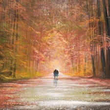 Park, picture, Steam, walkers, Rain, forest