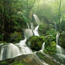 jungle, Moss, Stones, waterfall