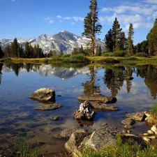 Mountains, River, Stones, forest