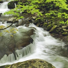 Stones, mountainous, stream