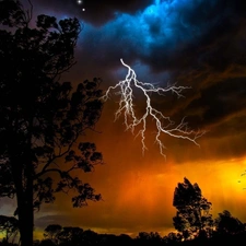 trees, lightning, Storm, Sky