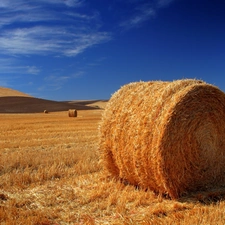 Field, straw