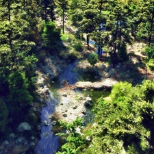 forest, glamour, sun, brook