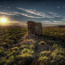 Hay, rays, sun, grass