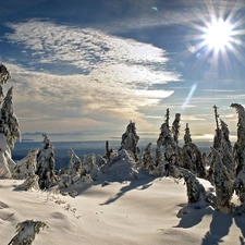 sun, winter, snow