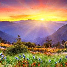 Spring, rays, sun, Mountains