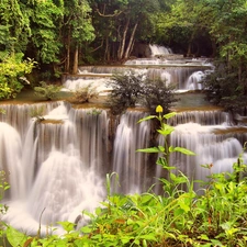 forest, cascade, Thailand, waterfall