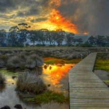 The setting, sun, by, swamp, footbridge
