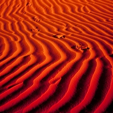 traces, Sand, desert