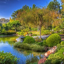 trees, japanese, Bush, Pond - car, viewes, Garden