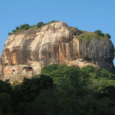 trees, Rocks, by