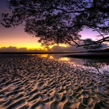 Sand, sun, trees, west