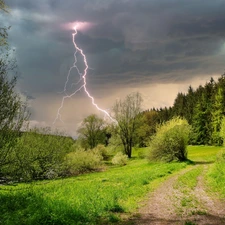 lightning, forest, Spring, Path, viewes, lightning, Storm, trees