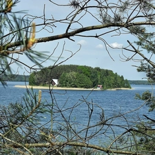 forest, lake, trees, viewes, Home, Island