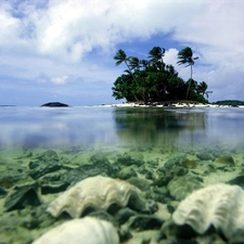 trees, viewes, Aitutaki, water, iceland