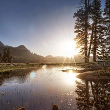 trees, viewes, sun, lake, rays