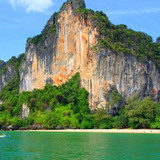 trees, viewes, sea, Beaches, rocks