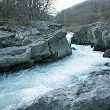 trees, viewes, River, rocks, tear